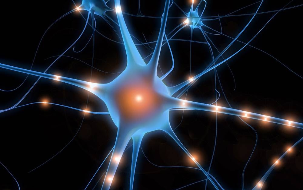 man watching a band on the stage wearing a red t-shirt and black hat.